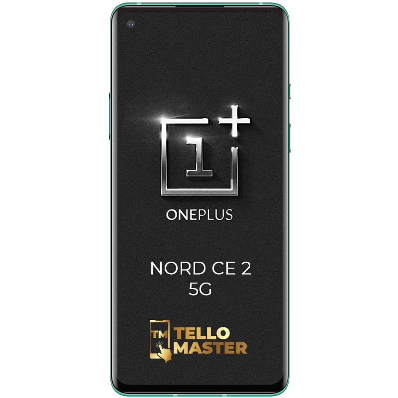 Behöver du laga OnePlus Nord CE 2 5G?